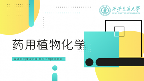 学习计划 